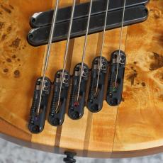 Ibanez BTB805MS - Florid Natural Low Gloss-【4.65kg】【#I251208862】_3