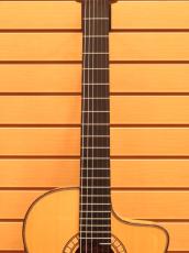 Martinez MP-14 MAPLE【ナット幅47mm】【エレガット】_6