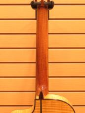 Martinez MP-14 MAPLE【ナット幅47mm】【エレガット】_7