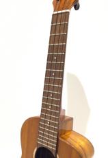 aNueNue aNN-UC1K Con_4