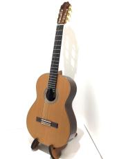 ASTURIAS DOUBLE TOP_2