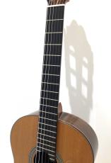 ASTURIAS DOUBLE TOP_4