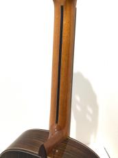 ASTURIAS DOUBLE TOP_7