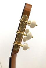 ASTURIAS DOUBLE TOP_8