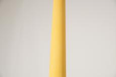 Gibson 1957 Les Paul Special Single Cut Reissue VOS -TV Yellow- [3.80kg]_10