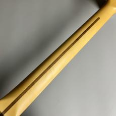 Fender American Professional II Stratocaster RW【現物写真】_8