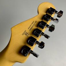 Fender American Professional II Stratocaster RW【現物写真】_9