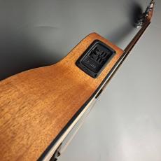 Furch Guitars Violet Gc-EM a Master’s Choice_5