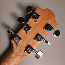 Furch Guitars Violet Gc-EM a Master’s Choice_6