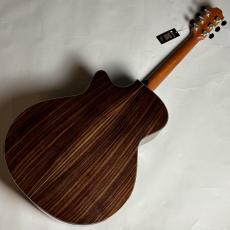 Furch Guitars Green Gc-SR a_9