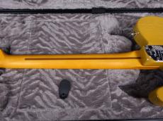 Fender American Professional II Telecaster Butterscotch Blonde ★GW SALE☆_8