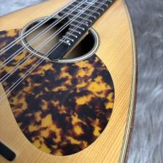 宮野厚志 MD-2【USED】【マンドラ】_7