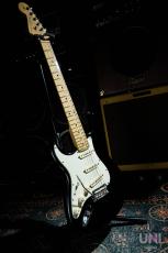 Fender American Standard Stratocaster Upgrade【Lefty】2013_2