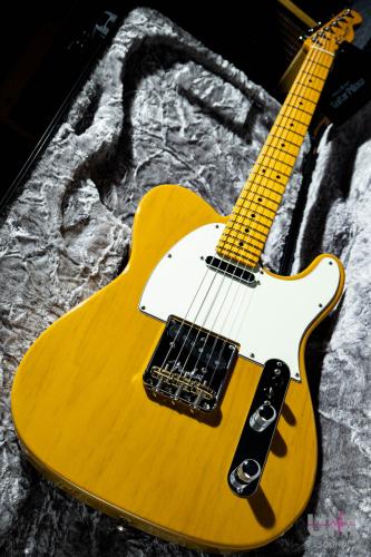 Fender American Professional II Telecaster Maple / 2021