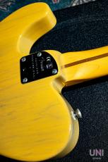 Fender American Professional II Telecaster Maple / 2021_8