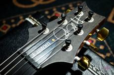 Paul Reed Smith [PRS] KID Limited Custom 24 Chamber 10Top Blue Matteo (Pattern Regular Neck) / 2014_4