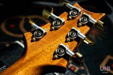 Paul Reed Smith [PRS] KID Limited Custom 24 Chamber 10Top Blue Matteo (Pattern Regular Neck) / 2014_6