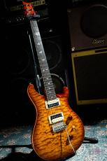 Paul Reed Smith [PRS] SE Custom 24 30th Anniversary Vintage Sunburst / 2015_2