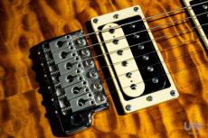 Paul Reed Smith [PRS] SE Custom 24 30th Anniversary Vintage Sunburst / 2015_6