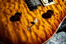 Paul Reed Smith [PRS] SE Custom 24 30th Anniversary Vintage Sunburst / 2015_7