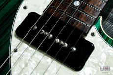 FREEDOM CUSTOM GUITAR RESEARCH Green Pepper Green Transparent / 2017_5