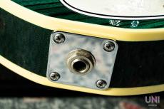 FREEDOM CUSTOM GUITAR RESEARCH Green Pepper Green Transparent / 2017_7