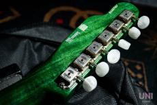 FREEDOM CUSTOM GUITAR RESEARCH Green Pepper Green Transparent / 2017_8