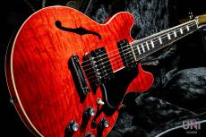 Gibson ES-339 Figured  / 2023_10