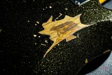 Fender Custom Shop J Signature Precision Bass Heavy Relic Black Gold Masterbuilt By Greg Fessler_7