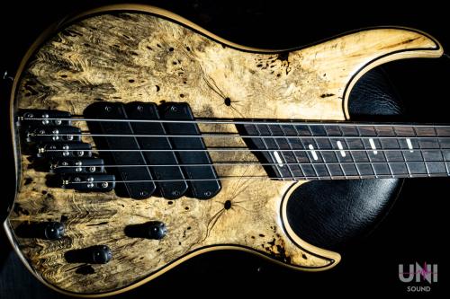 DINGWALL Z3 5st Buckeye Burl top