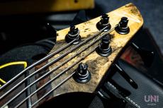 DINGWALL Z3 5st Buckeye Burl top_3