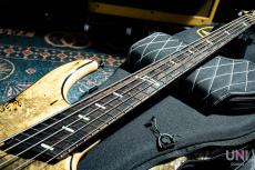 DINGWALL Z3 5st Buckeye Burl top_4