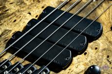 DINGWALL Z3 5st Buckeye Burl top_5