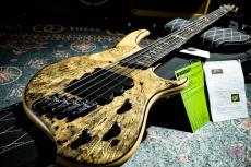 DINGWALL Z3 5st Buckeye Burl top_11