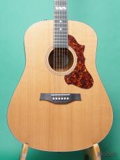 Godin Metropolis PU標準装備 (L.R.Baggs Anthem) [Price Down!]