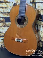 Antonio Lopez [アントニオ・ロペス] アントニオ・ロペス PRPFESSIONAL プロフェッショナル 2021年製 杉・ローズウッド 【日本総本店2F 在庫品】_2