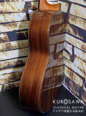 Antonio Lopez [アントニオ・ロペス] アントニオ・ロペス PRPFESSIONAL プロフェッショナル 2021年製 杉・ローズウッド 【日本総本店2F 在庫品】_6