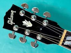 Gibson Hummingbird HCS_5