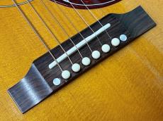 Gibson Hummingbird HCS_10