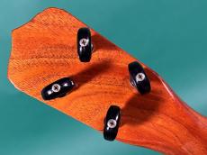 Lo Prinzi CONCERT 3K_6