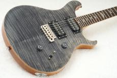 Paul Reed Smith [PRS] SE CUSTOM 24 ～Charcoal～ #CTIH001212 [3.63kg]【48回無金利】【2025年製】_4