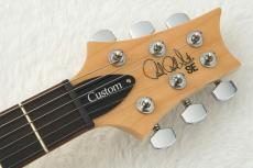 Paul Reed Smith [PRS] SE Custom 24 ～Turquoise～ #CTIF098162 [3.53kg]【48回無金利】【2026年製】_8