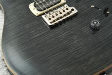 Paul Reed Smith [PRS] SE Custom 24 ~Grey Black~ #CTIH059998 [3.56kg]【48回無金利】【2025年製】_5