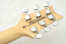 Paul Reed Smith [PRS] SE Custom 24 ～Turquoise～ #CTIF098162 [3.53kg]【48回無金利】【2026年製】_9