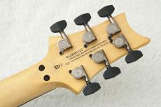 Paul Reed Smith [PRS] SE CHLEO ~Orchid Dusk~ #CTIH055778 [3.08kg]《Herman Li / DragonForce》【48回無金利】【2026年製】_9