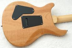 Paul Reed Smith [PRS] SE CUSTOM 24 ～Blue Fade～ #CTIH023558 [3.53kg]【48回無金利】【2025年製】_11