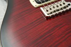 Paul Reed Smith [PRS] SE CUSTOM 24 ～Fire Red Burst～ #CTIH080242 [3.45kg]【48回無金利】【2026年製】_7