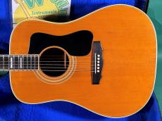 Guild D-55NT _2