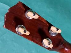 Gibson TG-0_6