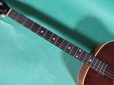 Gibson TG-0_7